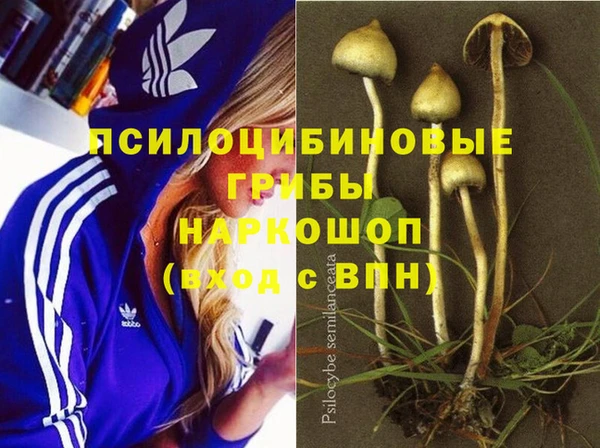 спиды Армянск