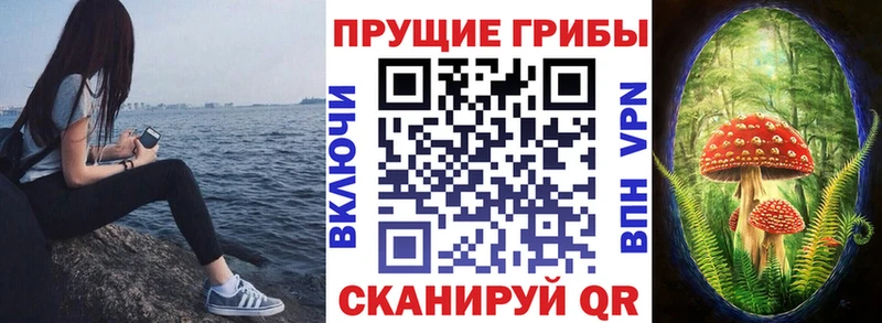 Галлюциногенные грибы Psilocybe  OMG вход  Аша  купить  цена 