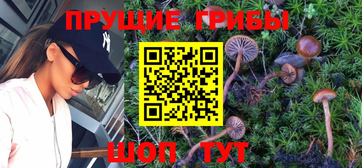 Аша  Псилоцибиновые грибы мицелий  Вход с VPN 