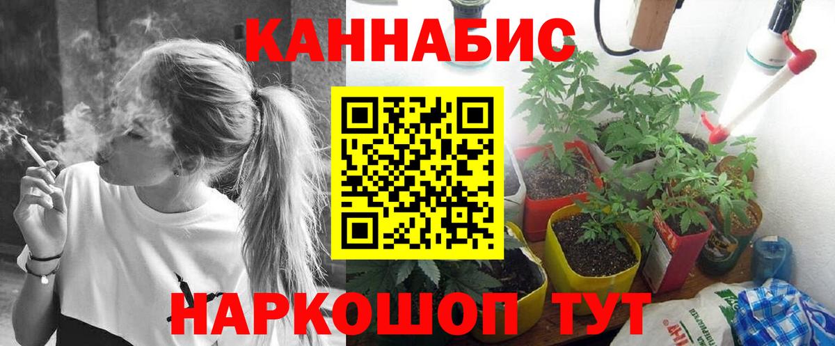 Бошки Шишки White Widow  Бошки Шишки SATIVA & INDICA  Вход с VPN  Аша  МАРИХУАНА OG Kush 
